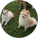 Vilma Fams (Kingkoy) profile picture